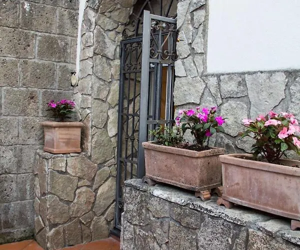 Shanti - Restaurant Di Aversano Salvatore 4* Σορέντο