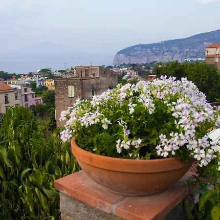 Shanti Home Sorrento